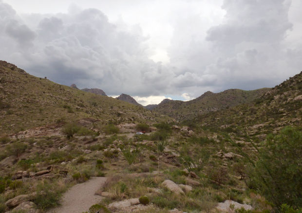 The Santa Catalina Natural History Tour